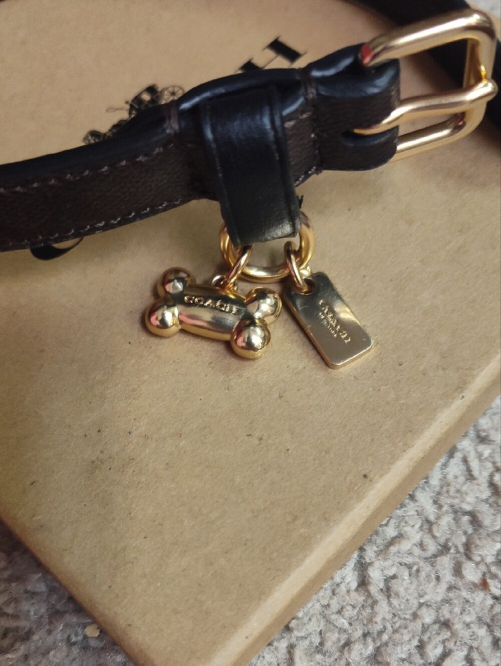 Coach Signature Dog Collar Leather Small Medium NIB Black With Bone Charm W/Box